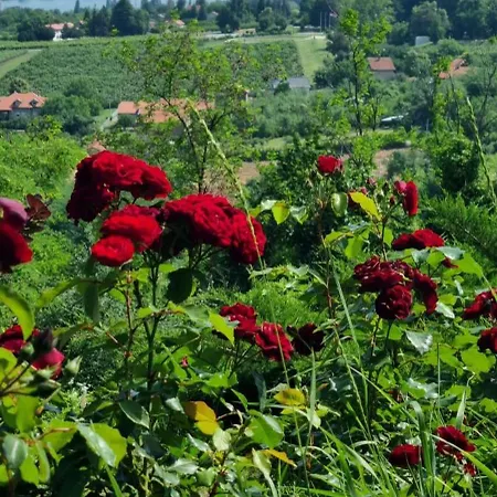 View Point House Nyaraló